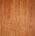 Philippine Mahogany wood (Meranti wood)